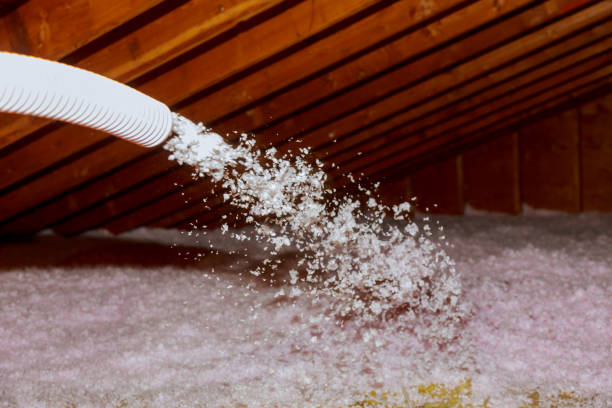 Best Residential Insulation in Shepherd, TX