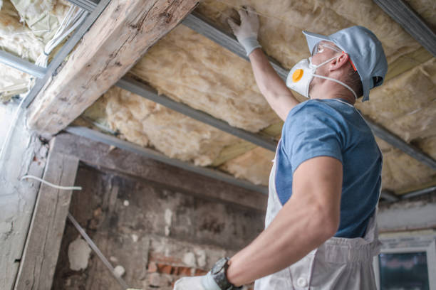 Best Commercial Insulation in Shepherd, TX