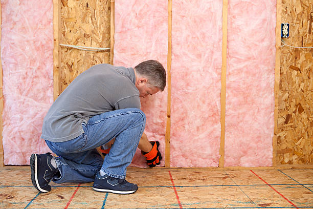 Best Cellulose Insulation in Shepherd, TX